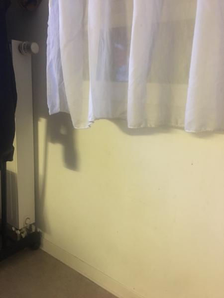 Photo du logement