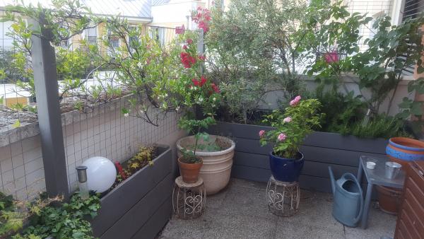 Photo du logement