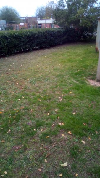 Photo du logement