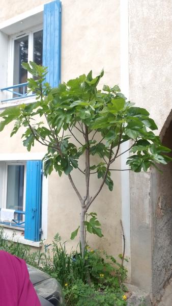 Photo du logement