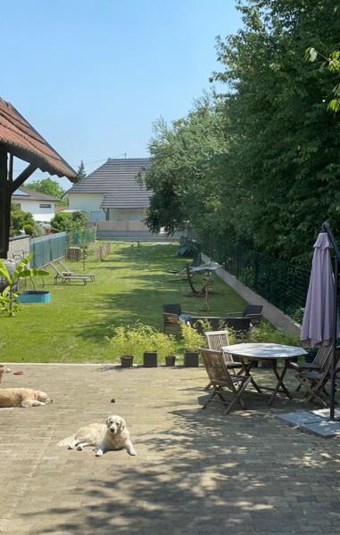 Photo du logement