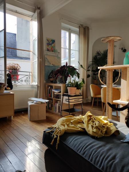 Photo du logement