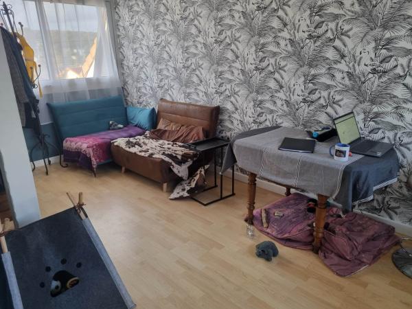 Photo du logement