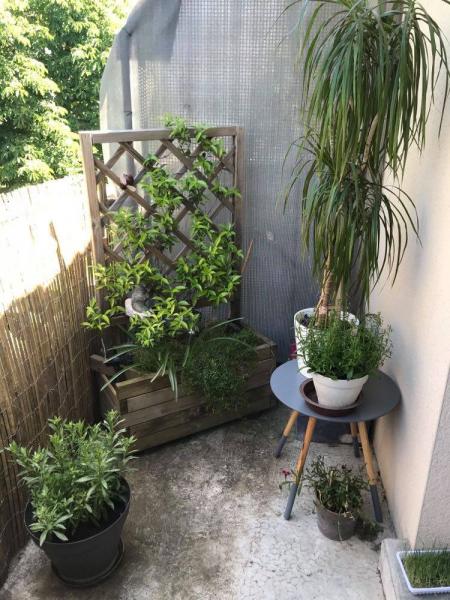 Photo du logement