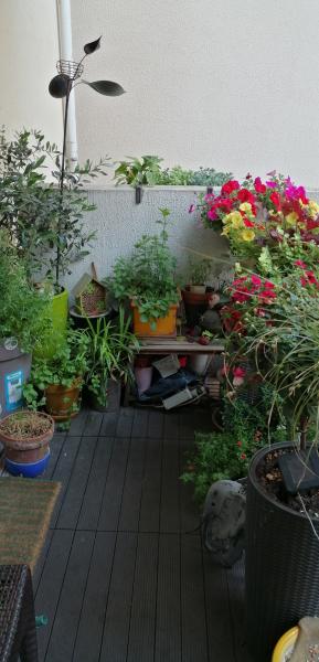 Photo du logement