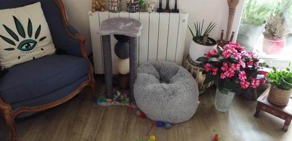 Photo du logement