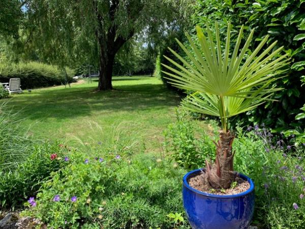 Photo du logement