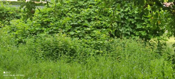 Photo du logement