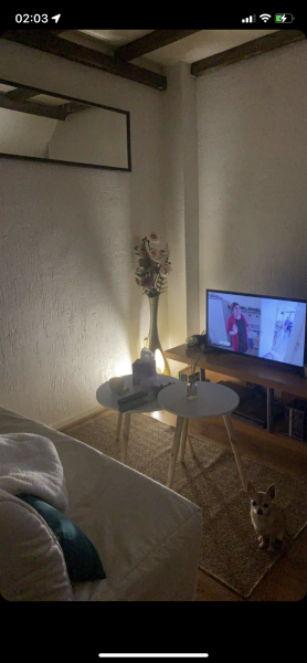 Photo du logement
