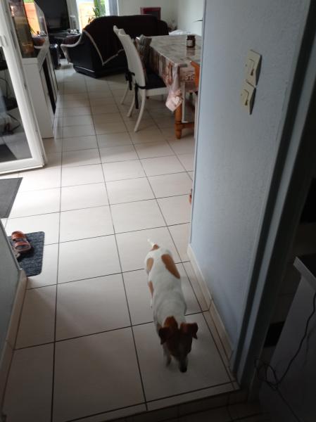 Photo du logement