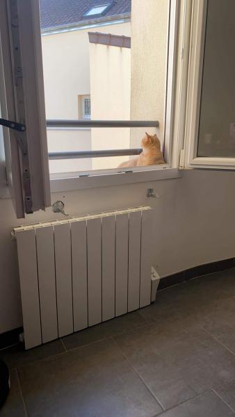 Photo du logement