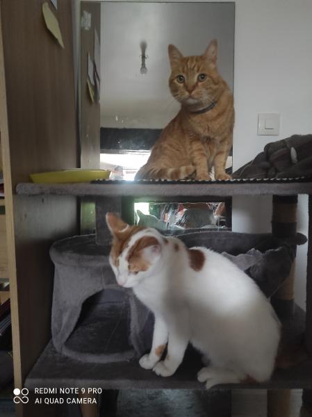 Photo du logement