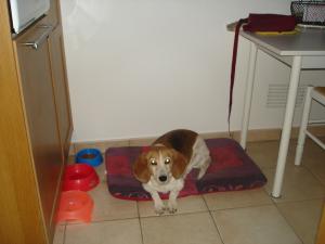Photo du logement