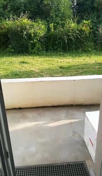 Photo du logement