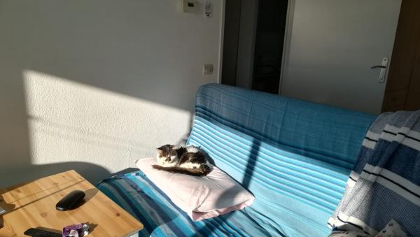 Photo du logement