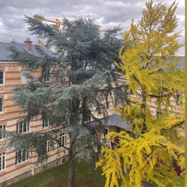 Photo du logement