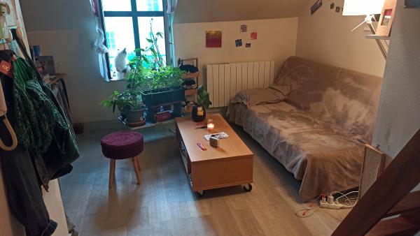 Photo du logement