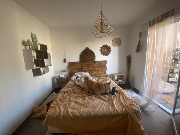 Photo du logement