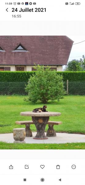 Photo du logement