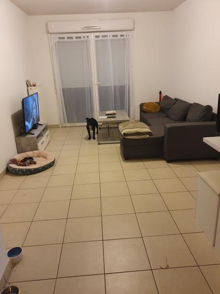 Photo du logement