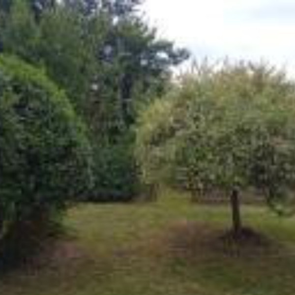Photo du logement