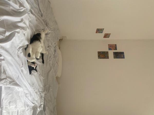 Photo du logement