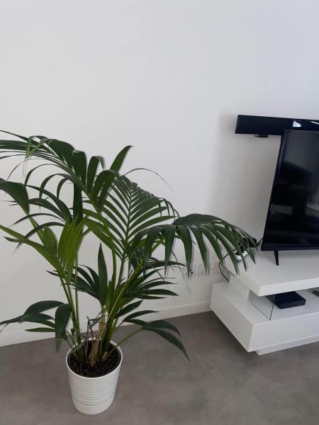Photo du logement