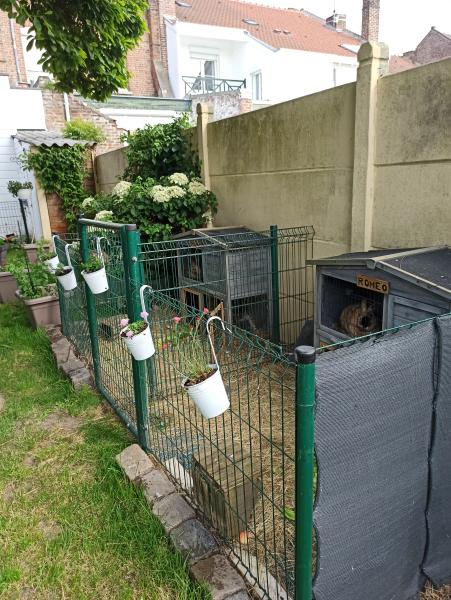 Photo du logement