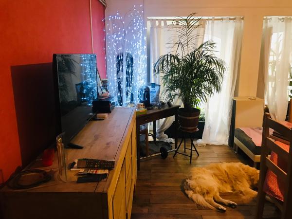 Photo du logement