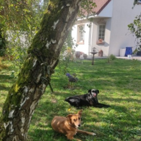Photo du logement