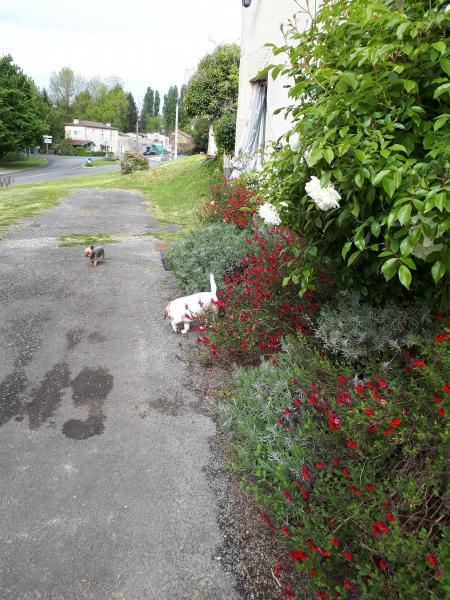 Photo du logement