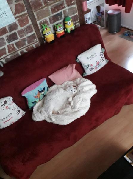Photo du logement