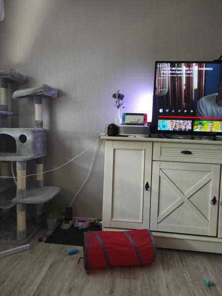 Photo du logement