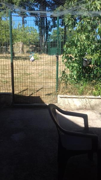Photo du logement