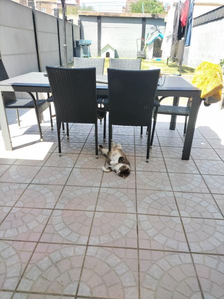 Photo du logement