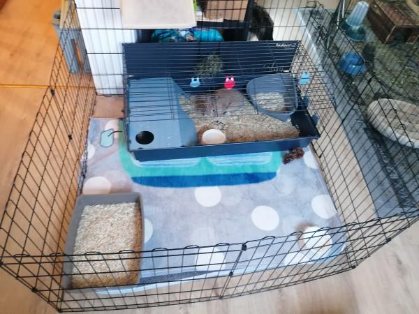 Photo du logement
