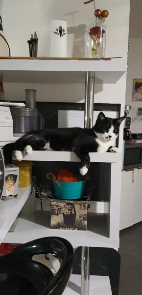 Photo du logement