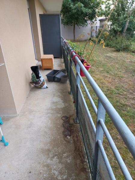 Photo du logement