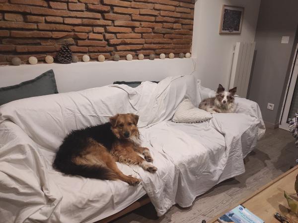 Photo du logement