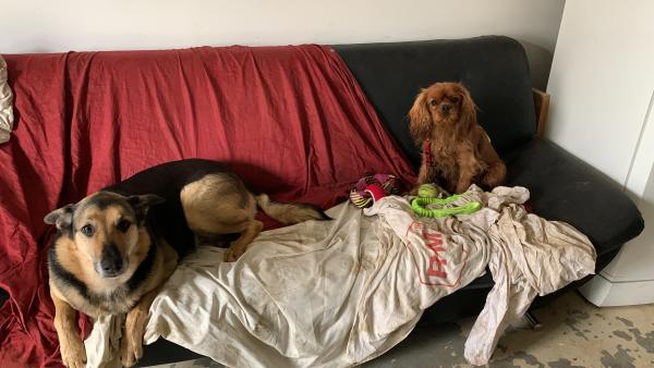 Photo du logement