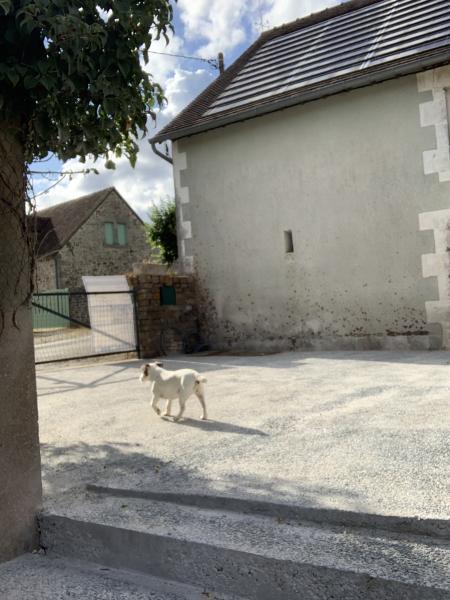 Photo du logement