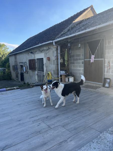 Photo du logement