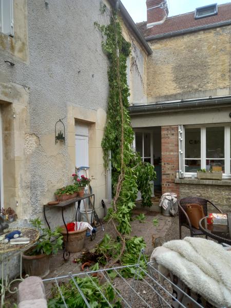 Photo du logement