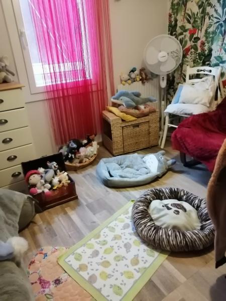 Photo du logement