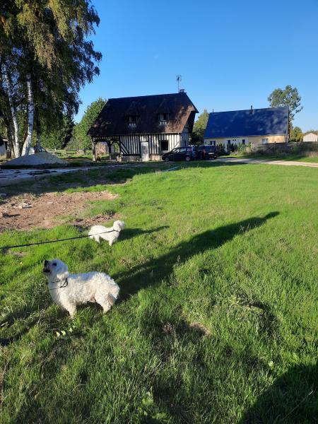 Photo du logement