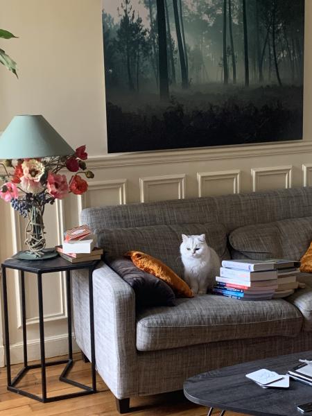 Photo du logement