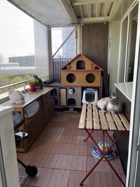 Photo du logement