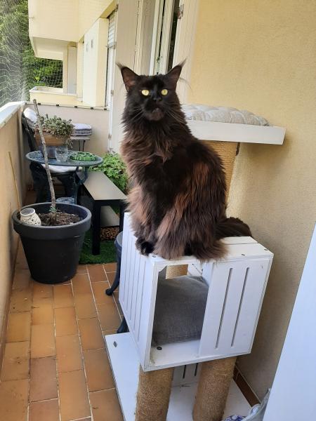 Photo du logement