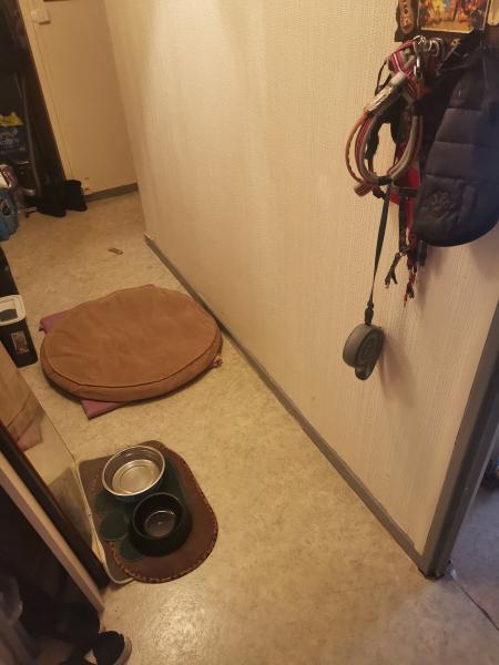 Photo du logement