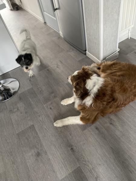 Photo du logement
